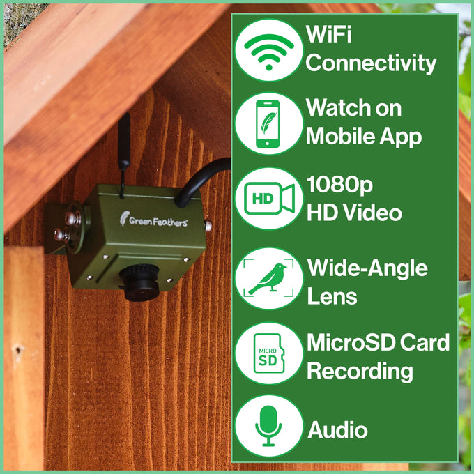 Green Feathers WiFi HD Camera for Bird Box & Wildlife Habitats