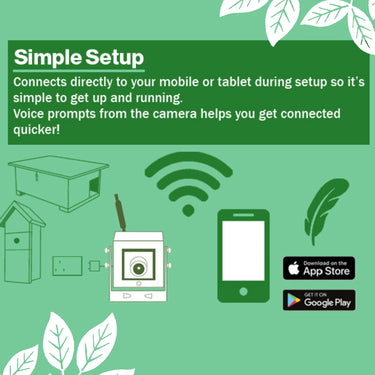 Green Feathers WiFi HD Camera for Bird Box & Wildlife Habitats