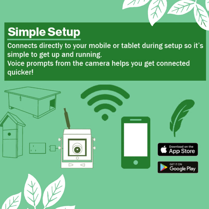 Green Feathers WiFi HD Camera for Bird Box & Wildlife Habitats