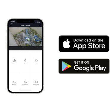 Green Feathers WiFi Bird Box HD Camera Starter Pack