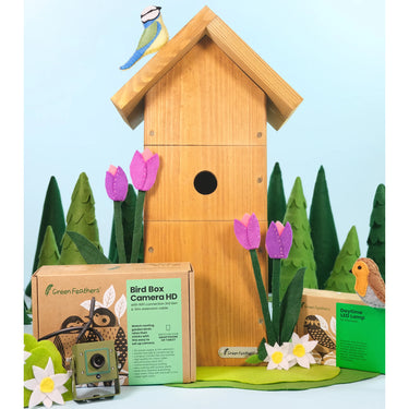 Green Feathers WiFi Bird Box HD Camera Starter Pack