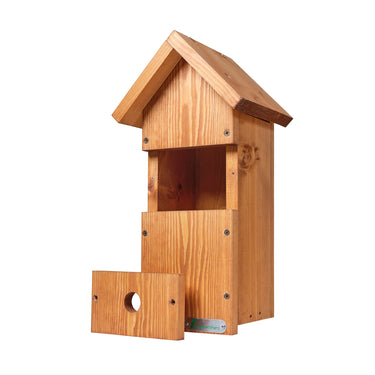 Green Feathers WiFi Bird Box HD Camera Complete Pack