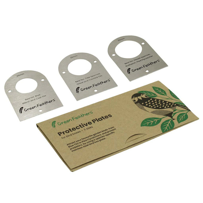 Green Feathers WiFi Bird Box HD Camera Complete Pack