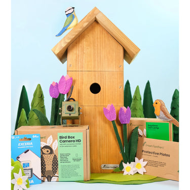 Green Feathers WiFi Bird Box HD Camera Complete Pack