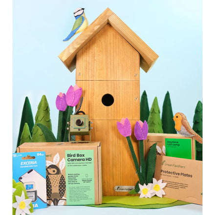 Green Feathers WiFi Bird Box HD Camera Complete Pack
