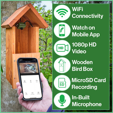 Green Feathers WiFi Bird Box HD Camera Complete Pack