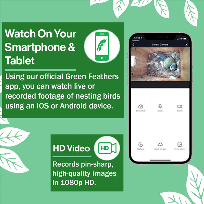 Green Feathers WiFi Bird Box HD Camera Complete Pack
