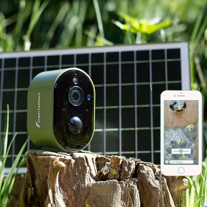 Green Feathers Solar Powered WiFi Bird Box HD Camera Starter Pack