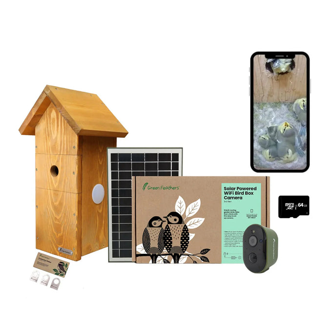 Green Feathers Solar Powered WiFi Bird Box HD Camera Complete Pack