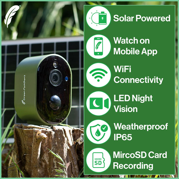 Green Feathers Solar Powered WiFi Bird Box HD Camera Complete Pack