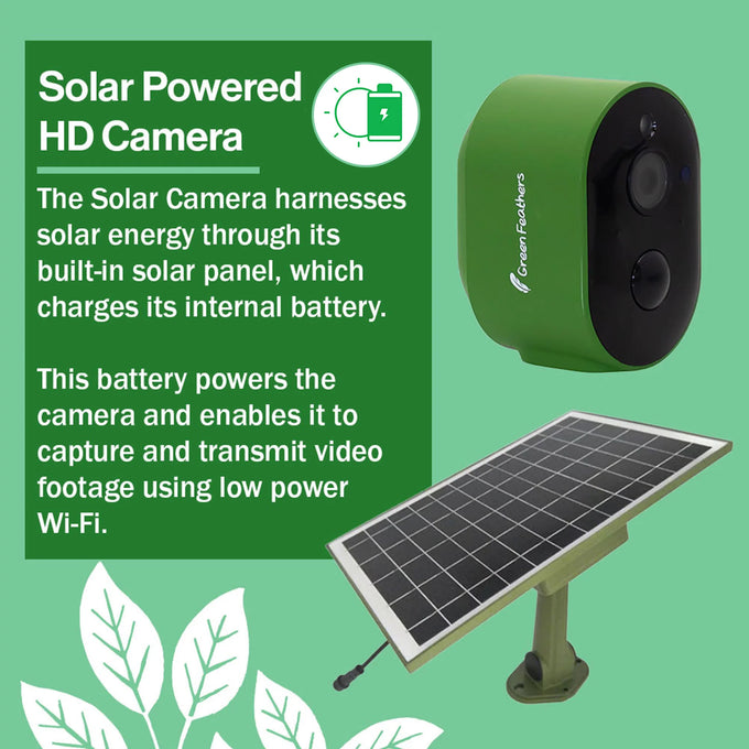 Green Feathers Solar Powered WiFi Bird Box HD Camera Complete Pack