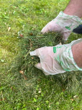 Glovelee Extra Large Compostable Gloves