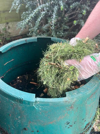 Glovelee Large Compostable Gloves