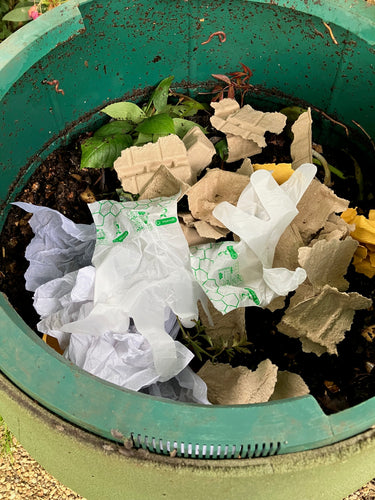 Glovelee Medium Compostable Gloves