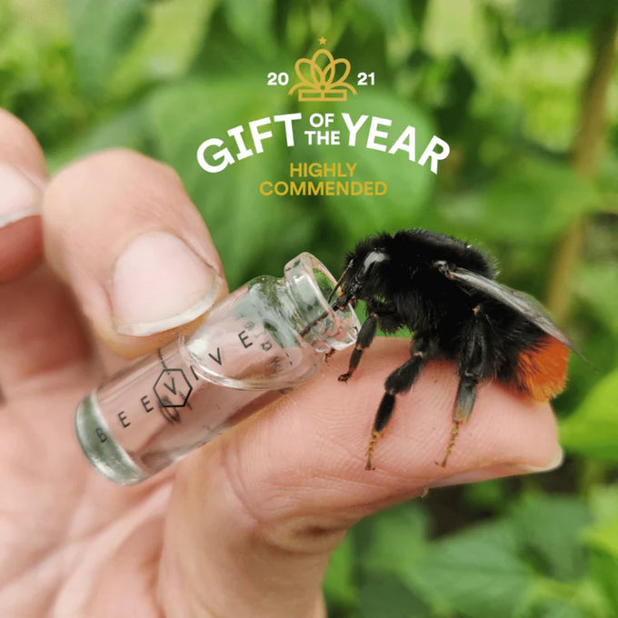 The Original Bee Revival Kit - Black with Bee ID Tag