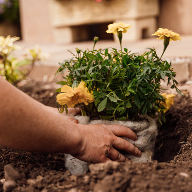 Hortiwool Garden Pad Pouch (5 pack)