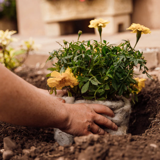 Hortiwool Garden Pad Pouch (5 pack)
