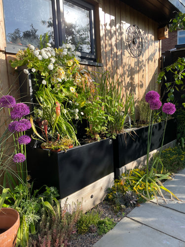 Dipping Tank - 60cm with Timber Fascia