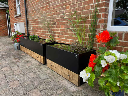 Dipping Tank - 2m with Timber Fascia