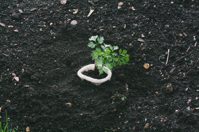 Wool Pots - Pack of 10