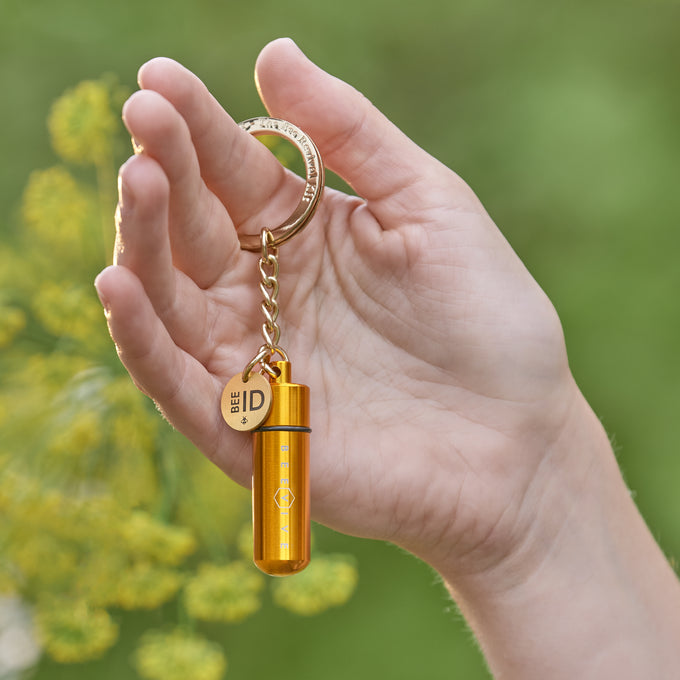 The Original Bee Revival Kit - Gold with Bee ID Tag