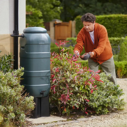 Mini Rainsaver 100 Litre Green Water Butt Kit in a garden