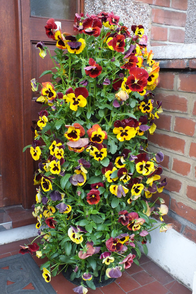 Flower Tower Vertical Floor Standing Planter 2 Pack