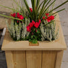 Rowlinson Small Heritage Planter