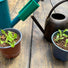 Plantsurge Magnetic Plant Growth Booster