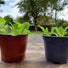 Plantsurge Magnetic Plant Growth Booster