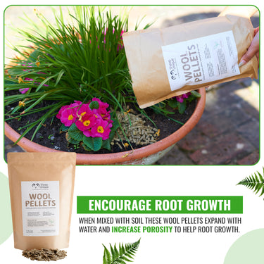 Wool pellets for plant care with a pot of flowers and greenery.