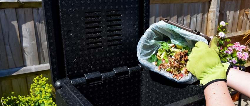 Caddy and hotbin composter