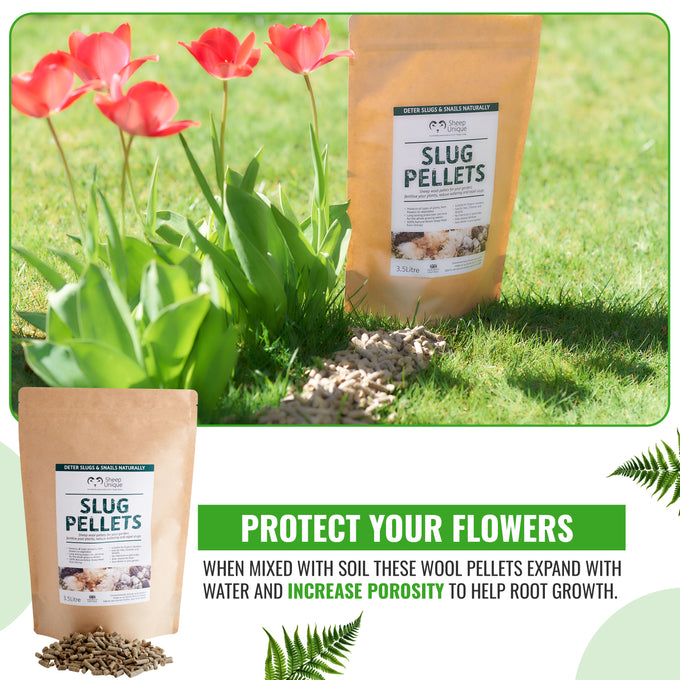 Wool Slug Pellets