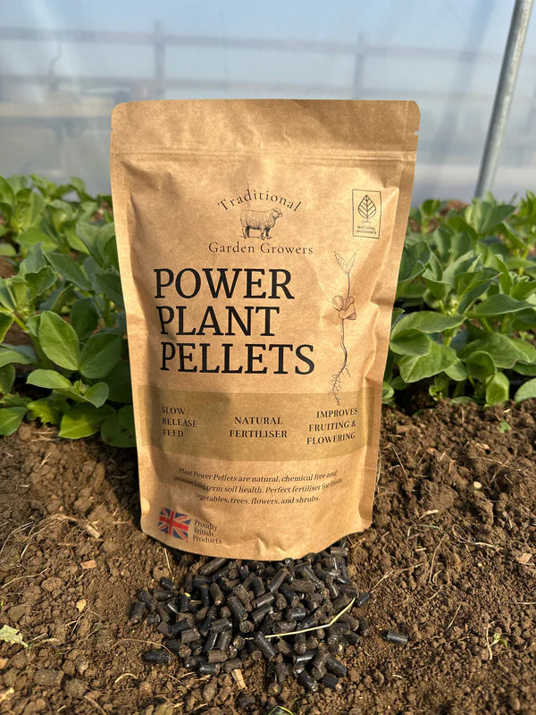 Power Plant Pellets