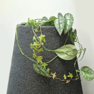 Drop 410 litre Anthacite Water Butt