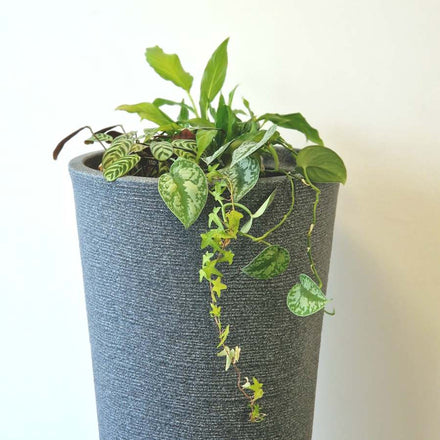 Tubo 210 litre Granite Water Butt