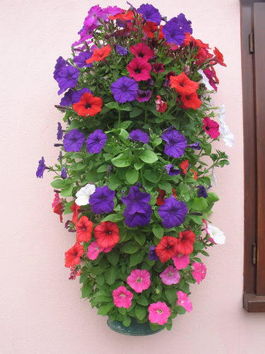 Flower Tower Wall Mounted Planter 2 Pack