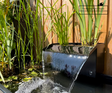 Dipping Tank 30cm Waterfall with Pump