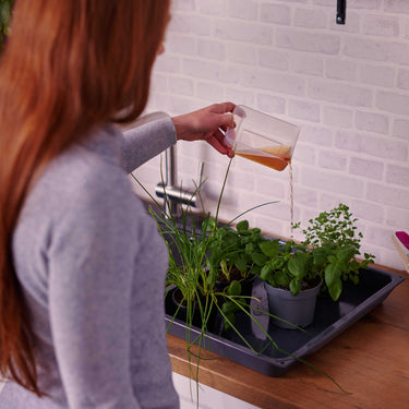 Organko Grey Twin Pack Bokashi Bin with 1kg Bokashi