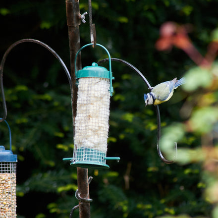 Wool Bird Nesting Material