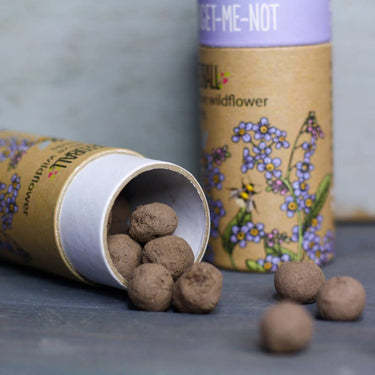 Wildflower Seedball Tube - Red Campion
