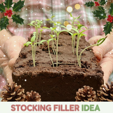 The Sunflower Growbar