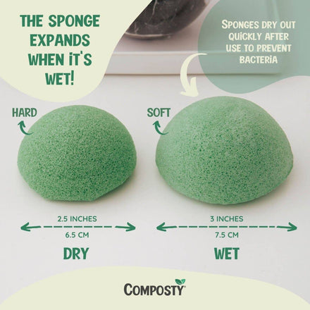Composty Compostable Konjac Facial Sponges - 4 Pack