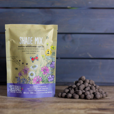 Seedball Wildflower Grab Bag - Butterfly Mix