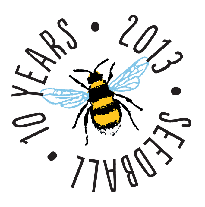 Seedball Wildflower Tube - Oxeye Daisy