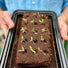 The Cat Growbar