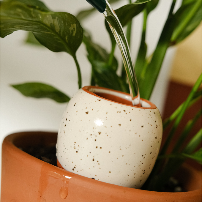 Olla The Iconics Mini Trio Ceramic Plant Waterers