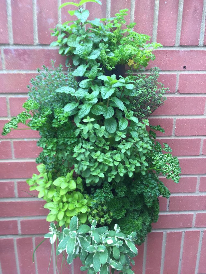 Flower Tower Wall Mounted Planter