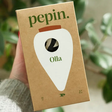 Olla Zebra Ceramic Plant Waterer