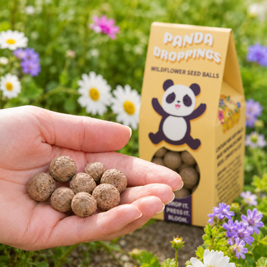 Dino Dropping Wildflower Seed Ball Dinosaur Kids Garden Gift